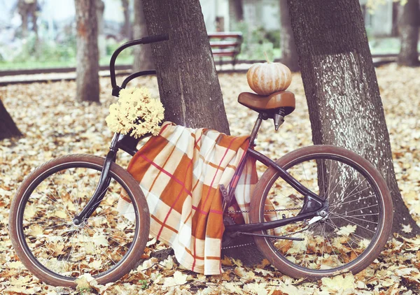Vintage bicycle versierd met pumpking en bloemen — Stockfoto