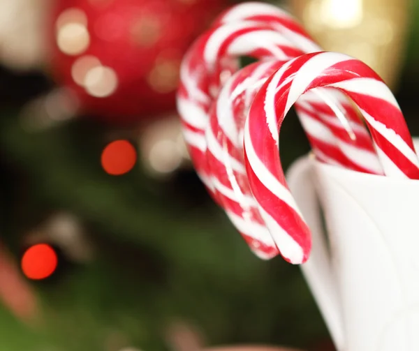 Boże Narodzenie Candy laski przez choinki — Zdjęcie stockowe