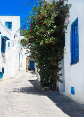 Sidi Bou Said. La Gulett, Tunus
