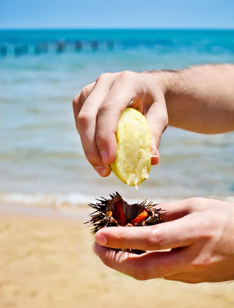 Mann mit Seeigel zum Essen am Strand — Stockfoto