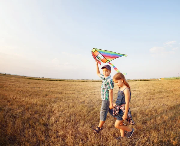 Happy boy and little girl with bright kite on a meadow — Stock Photo, Image