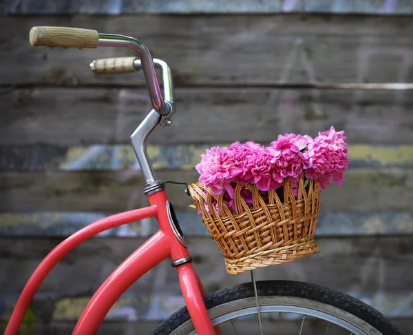 Bicicleta vintage com cesta com flores de peônia — Fotografia de Stock