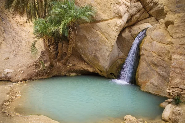 Vízesés a hegyi oázis Chebika, Tunézia, Afrika — Stock Fotó