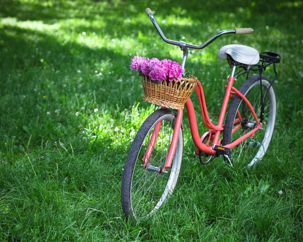 Vintage cykel med korg med pion blommor — Stockfoto