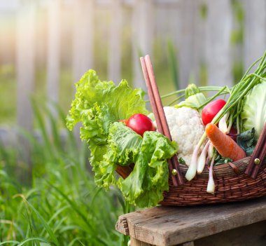 Taze organik sebze sepeti