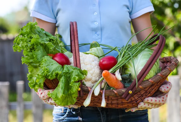 Woman wearing gloves with fresh vegetables in the box in her han — Stock Photo, Image