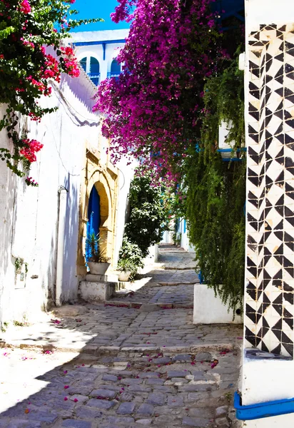 Sidi Bou Said. La Gulett, Tunisia — Stock Photo, Image