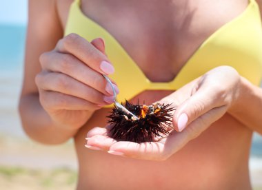 Kumsalda yemek için bir deniz kestanesi tutan kadın