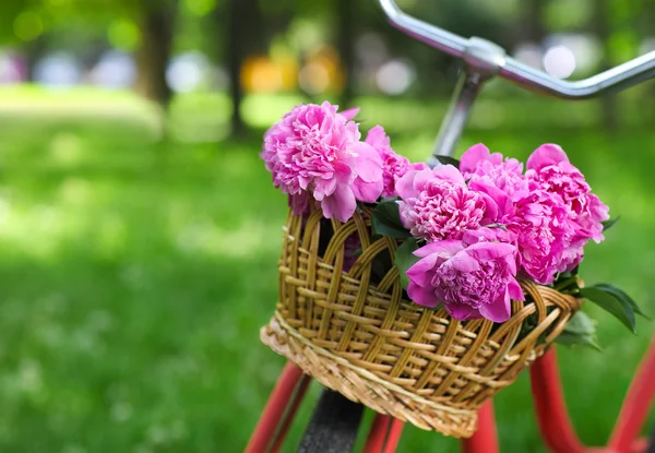 Oldtimer-Fahrrad mit Korb mit Pfingstrosenblumen — Stockfoto