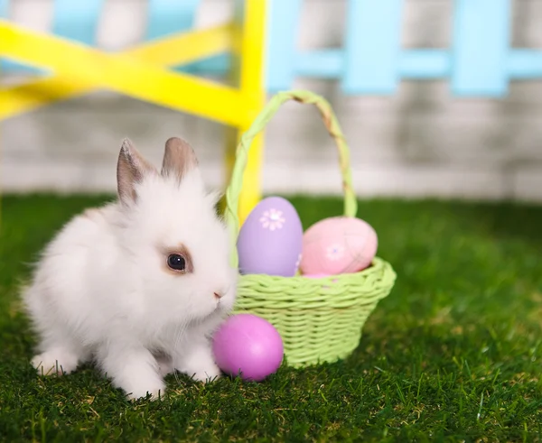 Little white rabbit and easter eggs in green grass — Stock Photo, Image