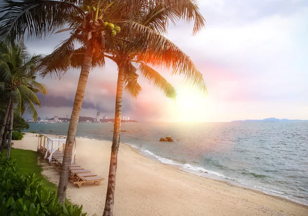 Sunset over the tropical beach — Stock Photo, Image