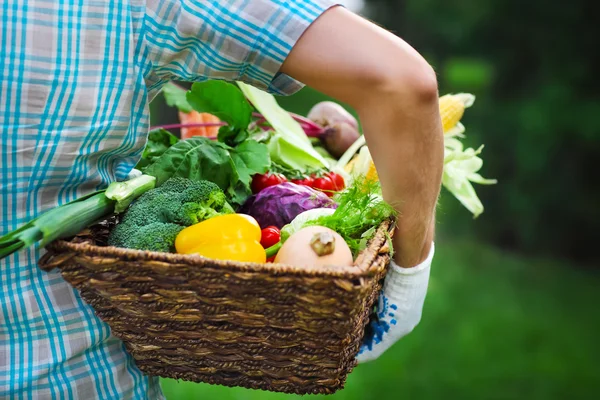 Boîte en bois remplie de légumes frais — Photo