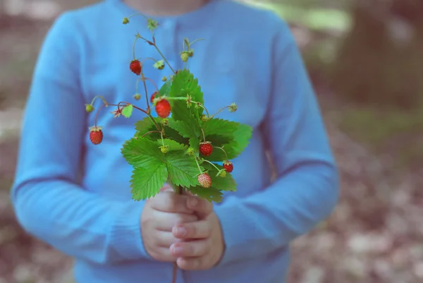 Petite fille hokding bouquet de fraises sauvages — Photo