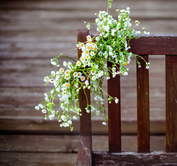 Wreath from white daisies 