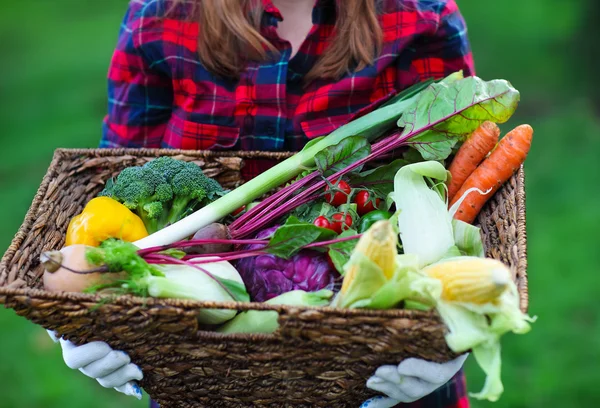 Frau trägt Handschuhe mit frischem Gemüse in der Schachtel in der Hand — Stockfoto