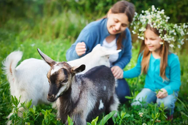 Lycklig mor och hennes dotter med baby getter — Stockfoto