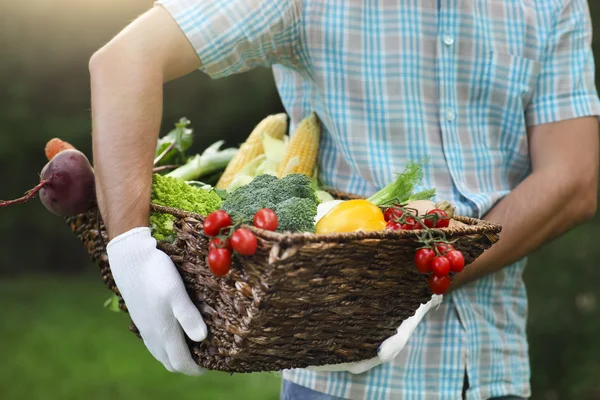 Cesta encheu legumes frescos nas mãos de um homem — Fotografia de Stock