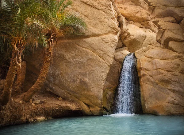 Vue sur l'oasis de montagne Chebika, désert du Sahara, Tunisie, Afrique — Photo