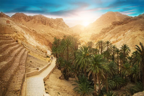 Mountain oasis Chebika, Sahara woestijn, Tunesië, Afrika — Stockfoto