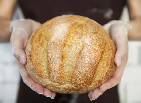 Vers brood in vrouwelijke handen — Stockfoto