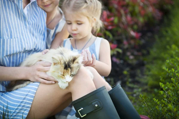 Feliz madre con sus hijas sosteniendo gato contra la naturaleza — Foto de Stock