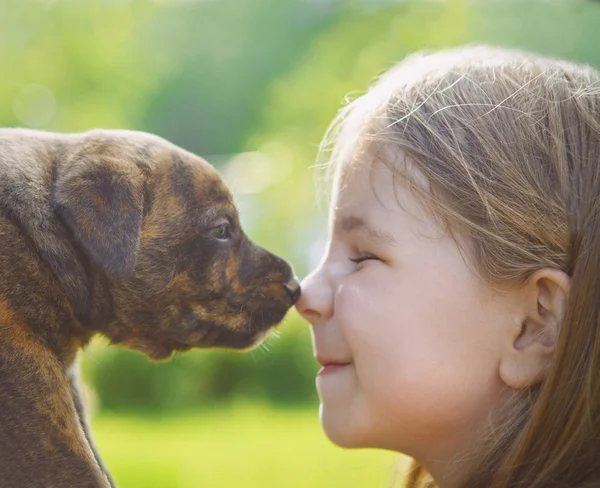 Liten flicka med en valp — Stockfoto