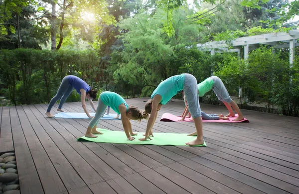 Gruppo di madri e figlie che fanno esercizio praticare yoga ou — Foto Stock