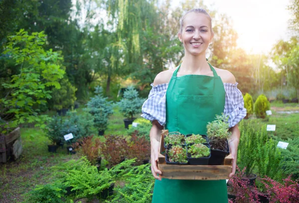 Woman holding a box with plants in her hands in garden center