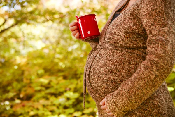 Mujer embarazada feliz en el parque de otoño — Foto de Stock