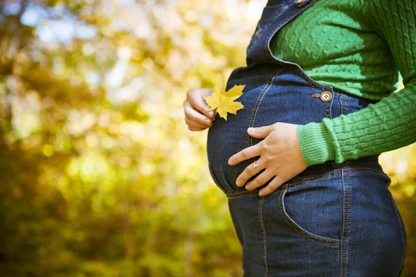 Žena držící javorový list v rukou u její těhotné břicho — Stock fotografie