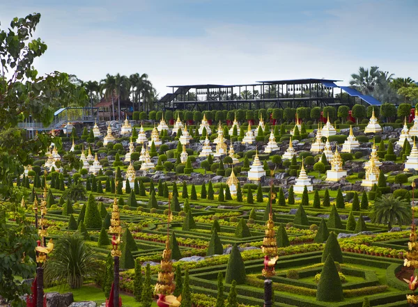 농 Nooch 열 대 식물원, 파타야, 태국 — 스톡 사진