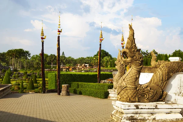 농 Nooch 열 대 식물원, 세부, 태국 — 스톡 사진