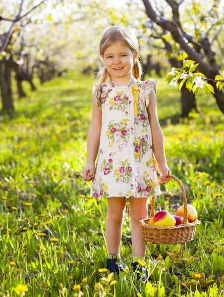 Petite fille mignonne tenant un panier avec des pommes rouges — Photo