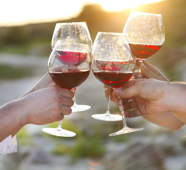 Gruppo di amici brindare al vino rosso ad una festa di relax — Foto Stock