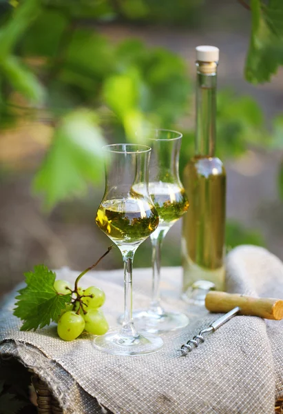 Bottle of liquor or  grappa and glasses with bunch of grapes — Stock Photo, Image