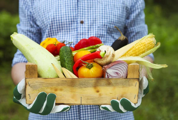 Contadino con scatola di legno pieno di verdure fresche — Foto Stock