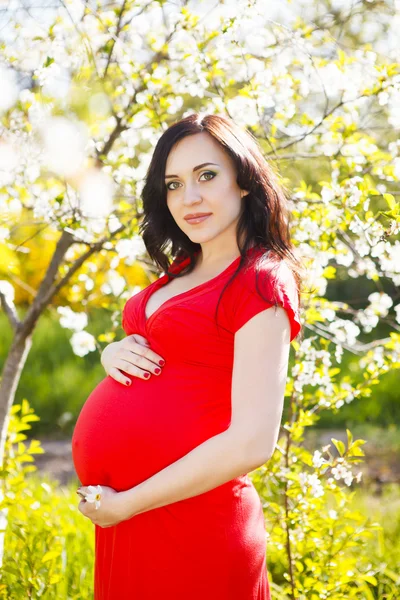 Beautiful pregnant woman in white dress in the flowering spring — Stock Photo, Image