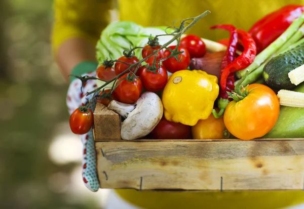 Woman wearing gloves with fresh vegetables in the box in her han — Stock Photo, Image