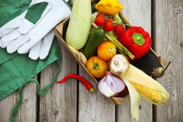 Agricultores frescos comercializam frutas e legumes com espaço de cópia — Fotografia de Stock