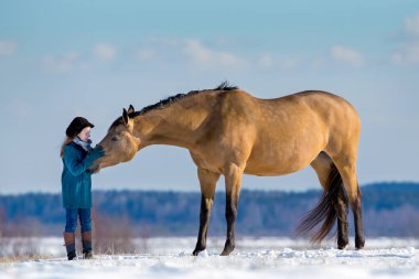 Genç kız bir tepede Trakehner altın atını okşuyor. Büyük bir kısrağı olan çocuk kışın arka planda karın üzerinde birlikte duruyor.
