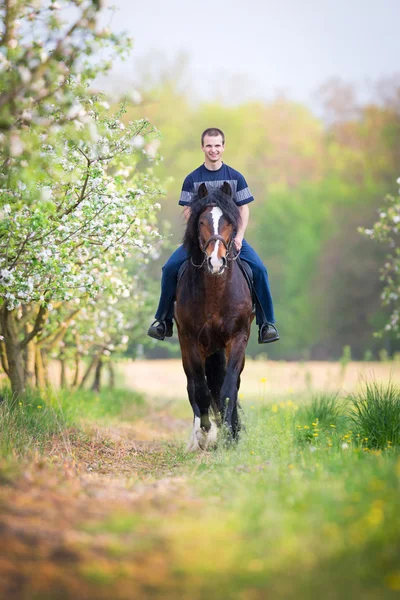 Man rider en häst — Stockfoto