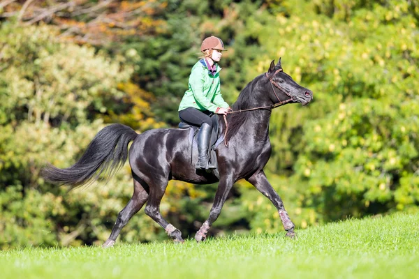 Νεαρό κορίτσι ιππασία ένα μαύρο άλογο. — Φωτογραφία Αρχείου