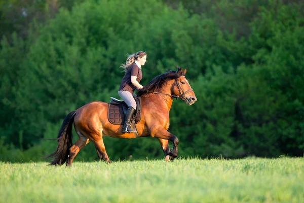 Frau reitet auf Pferd — Stockfoto