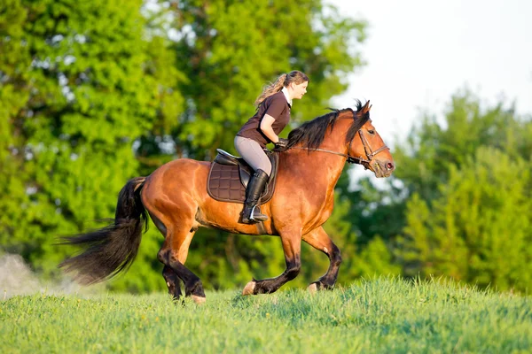 女性が馬に乗って — ストック写真