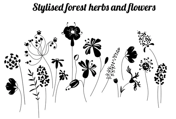 Plantilla floral con hierbas y plantas estilizadas. Silueta en blanco y negro . — Vector de stock