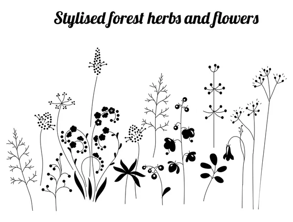 Floral template with stylized herbs and plants.  Black and white silhouette. — Stock Vector