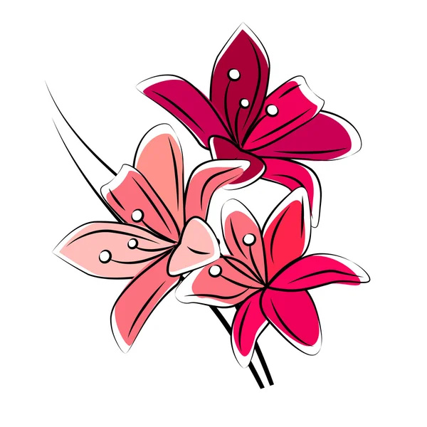 Stylized red lily isolated — Stockový vektor