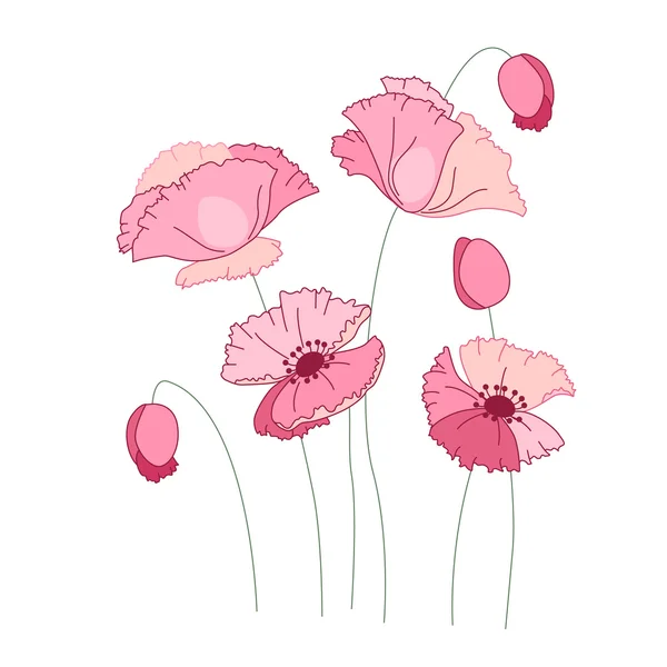 Στυλιζαρισμένη ροζ παπαρούνα απομονωμένη σε λευκό φόντο. — Διανυσματικό Αρχείο