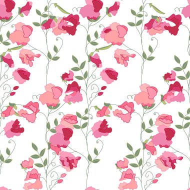 Stilize tatlı bezelye ile Çiçek dikişsiz desen. Tasarım, dekorasyon, tebrik kartları, posterler, davetiyeler, reklam için sonsuz doku.