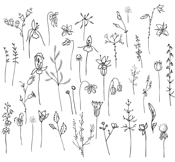 Colección con flores estilizadas del bosque y hierbas aisladas en blanco. Silueta en blanco y negro. Objetos para su diseño, anuncios, tarjetas de felicitación, carteles, publicidad . — Vector de stock